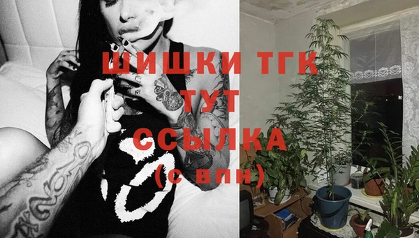 индика Балахна