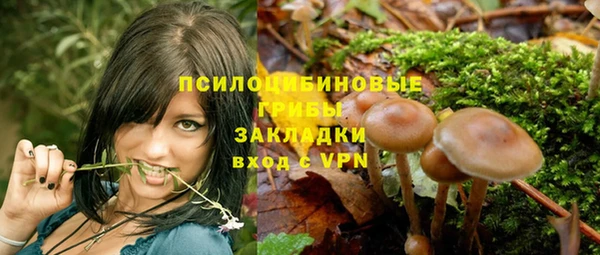 каннабис Аркадак