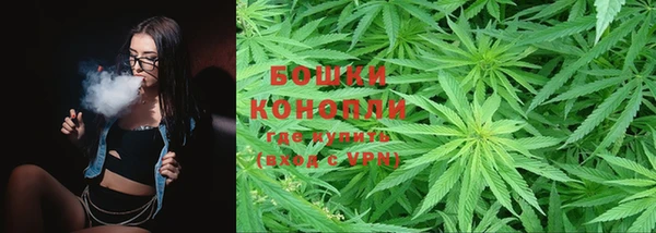 каннабис Аркадак