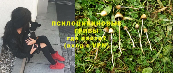 гидра Баксан