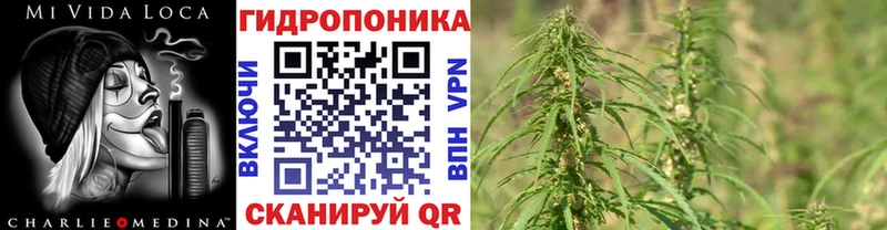 KRAKEN tor  Славянск-на-Кубани  Шишки марихуана гибрид 